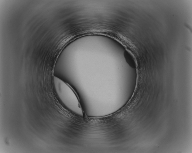 X0000097751169200804041056