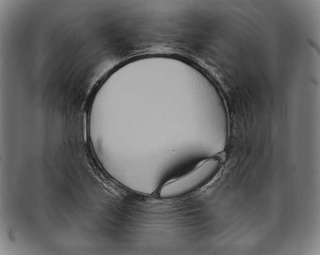 X0000097751171200804041056