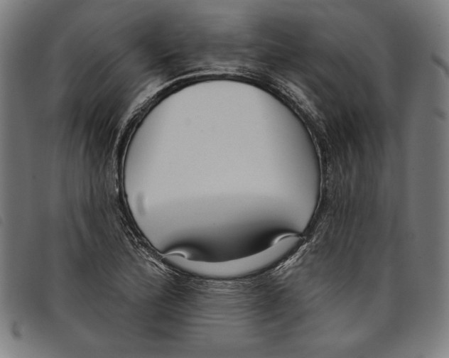 X0000097751172200804041056