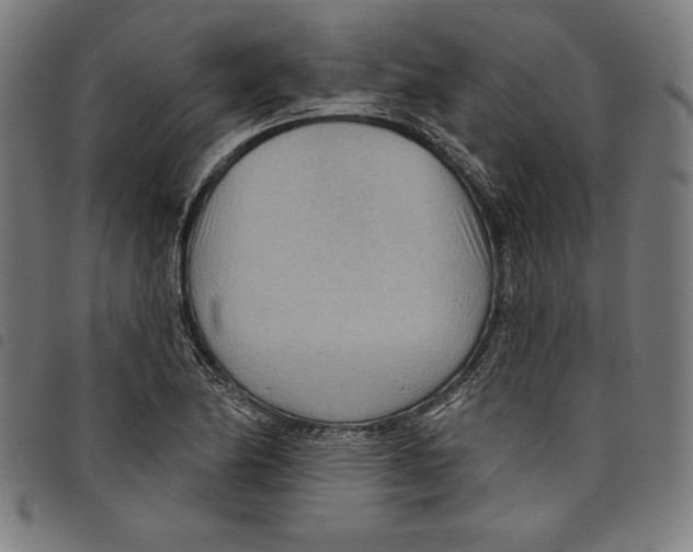 X0000097751174200804041056