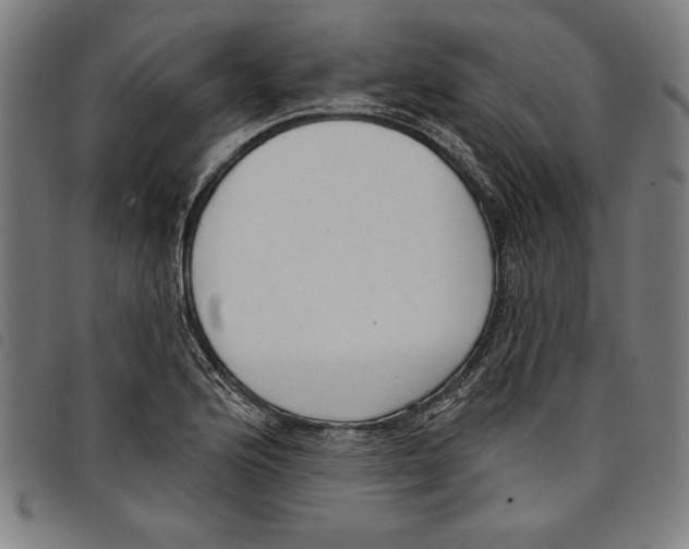 X0000097751176200804041056