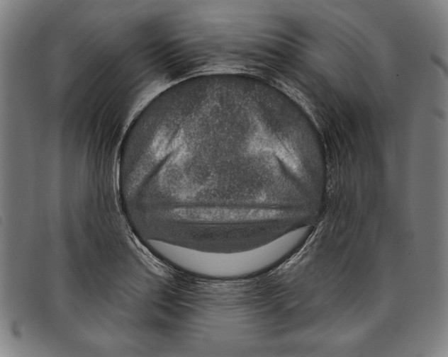 X0000097751179200804041056