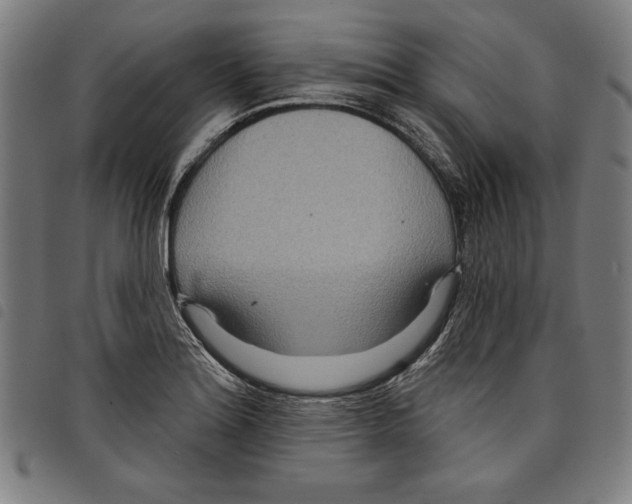 X0000097751180200804041056