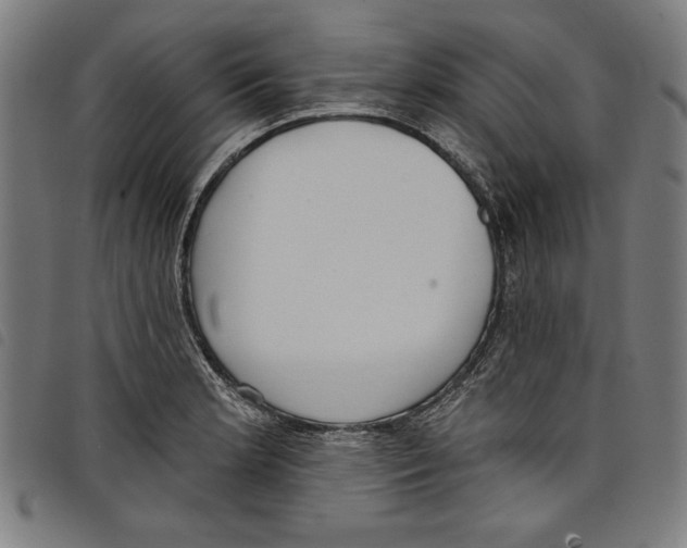 X0000097751181200804041056