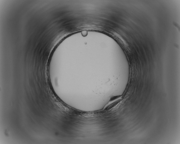 X0000097751182200804041056