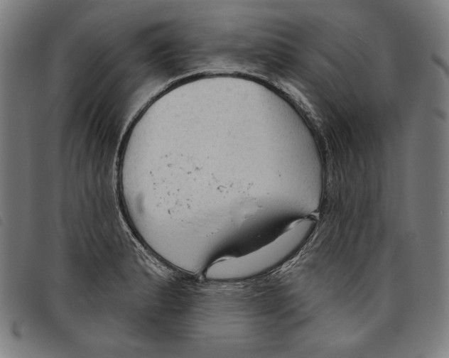 X0000097751183200804041056