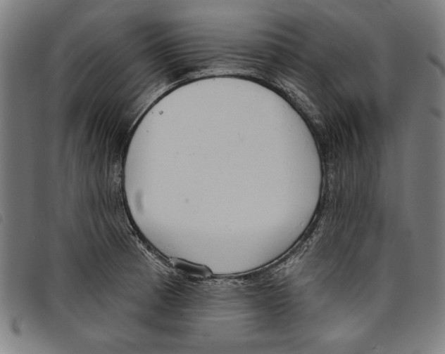 X0000097751185200804041056