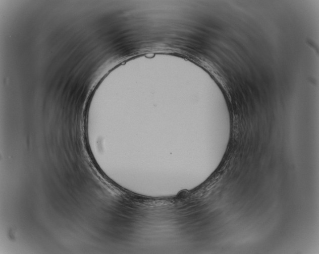 X0000097751187200804041056