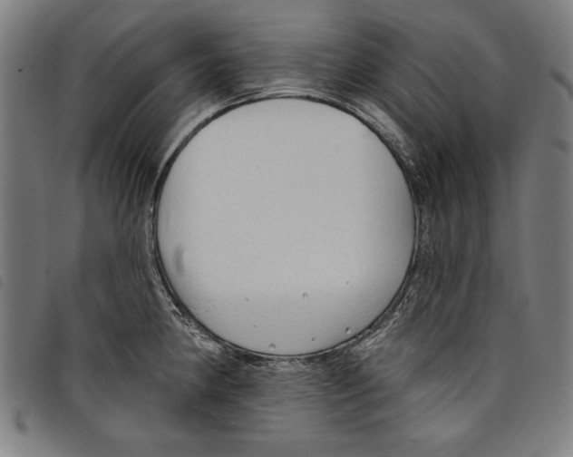 X0000097751190200804041056