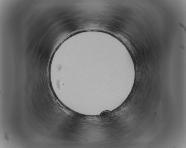 X0000097751191200804041056