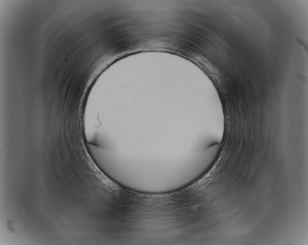 X0000097751192200804041056