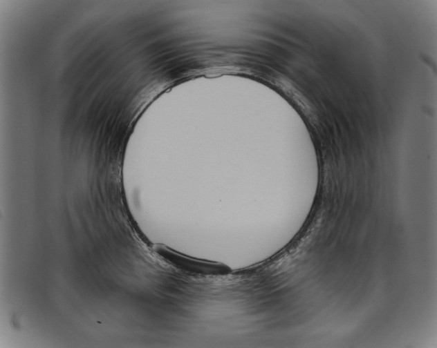 X0000097751193200804041056