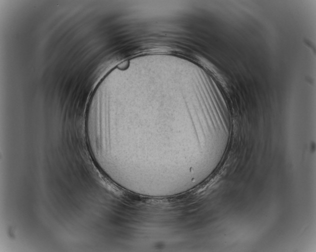 X0000097751194200804041056