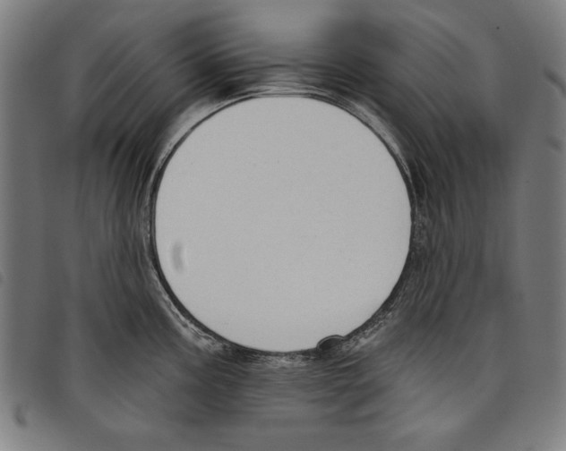 X0000097751195200804041056