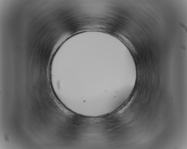 X0000097751196200804041056