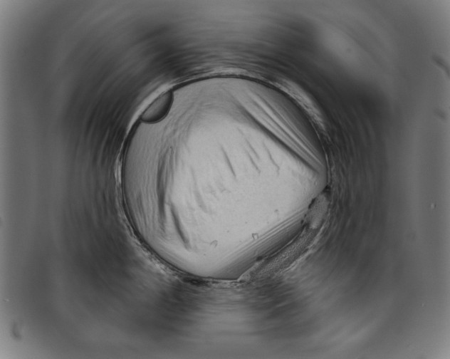 X0000097751198200804041056