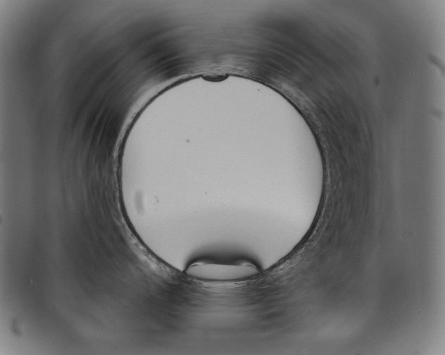 X0000097751200200804041056