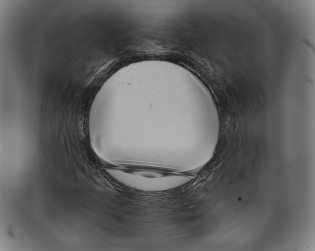 X0000097751205200804041055