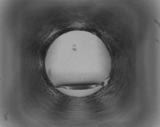 X0000097751206200804041055