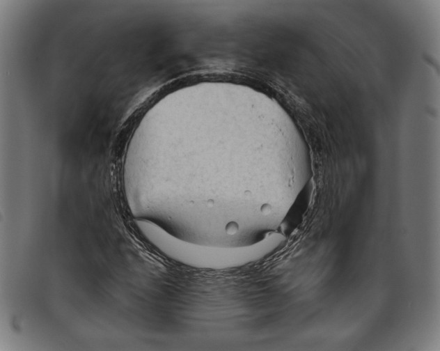 X0000097751208200804041055