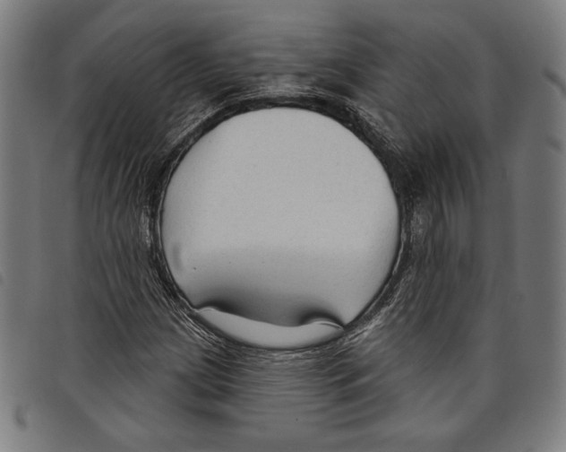 X0000097751209200804041055