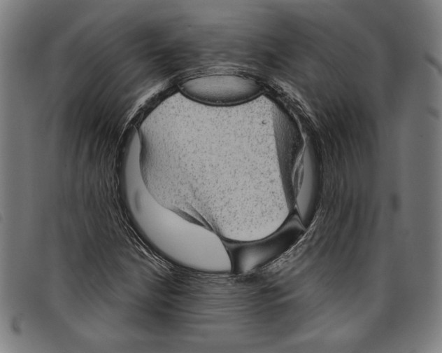 X0000097751210200804041055