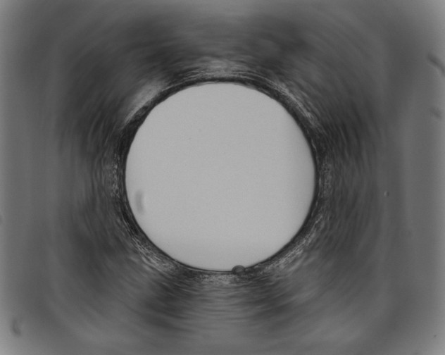 X0000097751211200804041055