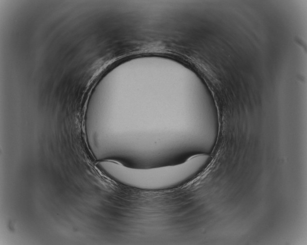 X0000097751212200804041055