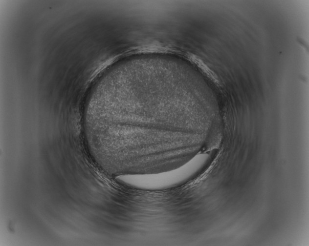 X0000097751213200804041055