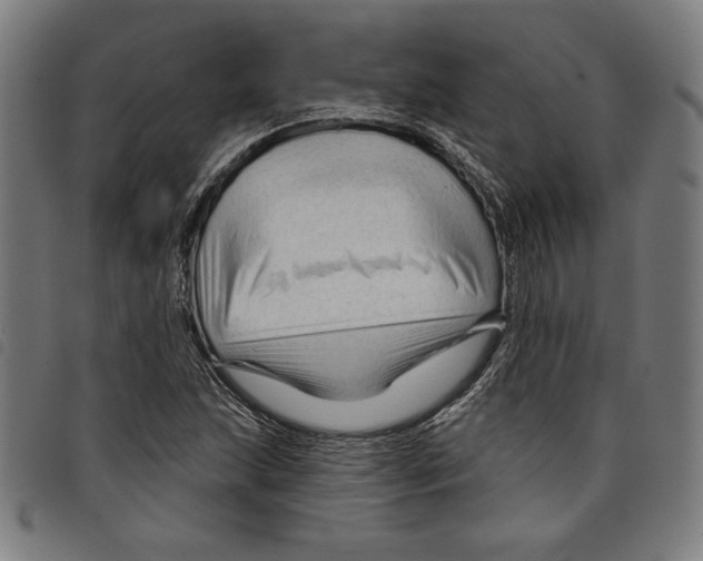 X0000097751215200804041055