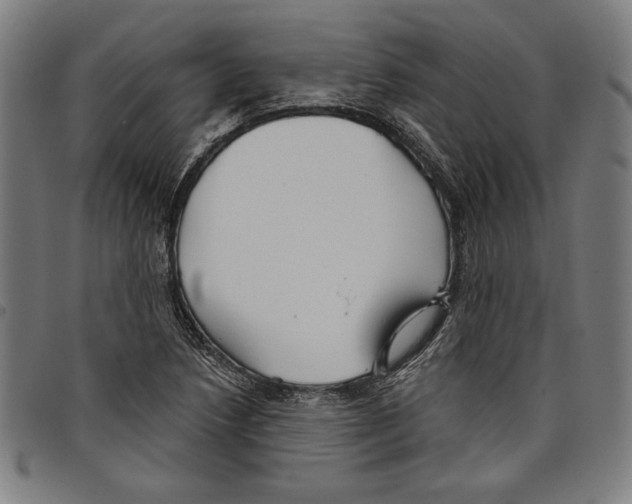 X0000097751218200804041055