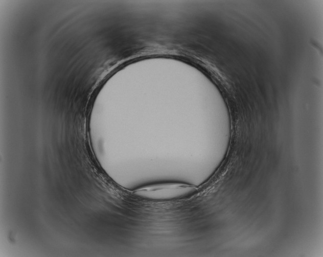 X0000097751220200804041055