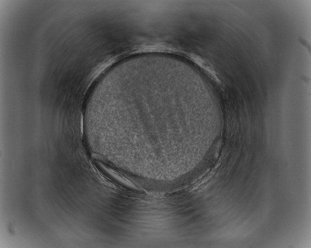 X0000097751221200804041055