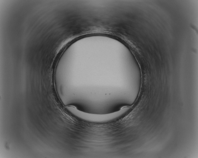 X0000097751222200804041055