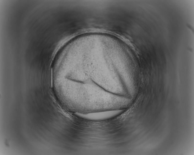 X0000097751223200804041055