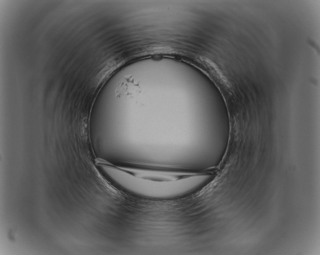 X0000097751225200804041055