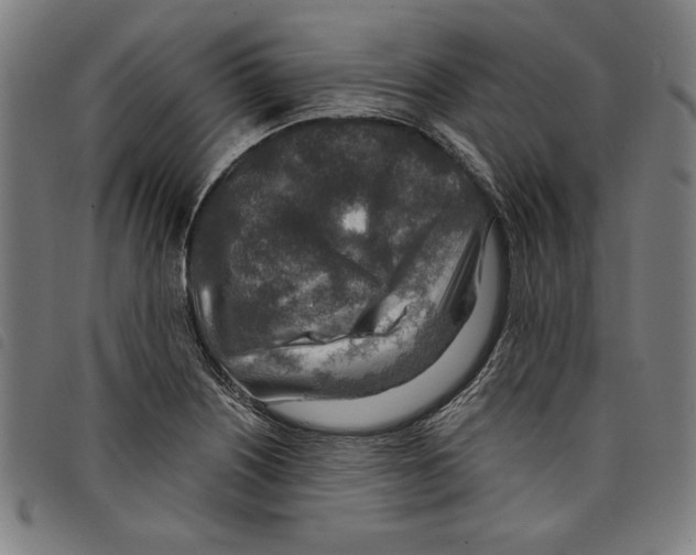 X0000097751226200804041055