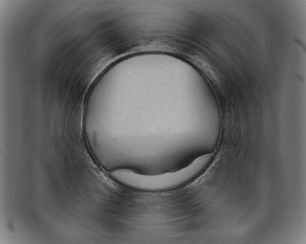 X0000097751228200804041055