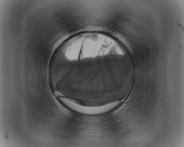 X0000097751229200804041055