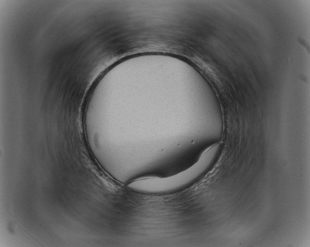 X0000097751230200804041055