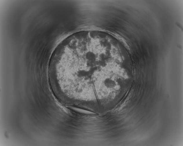 X0000097751231200804041055