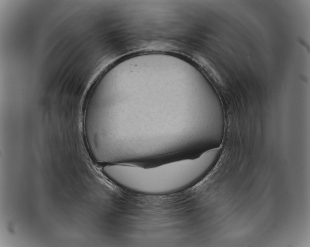 X0000097751232200804041056