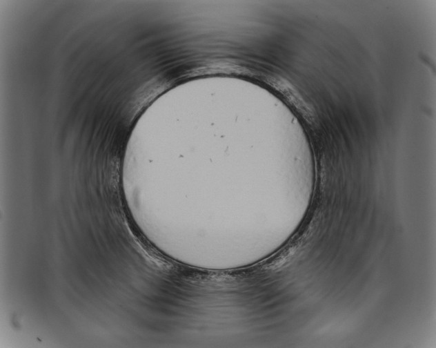 X0000097751233200804041056