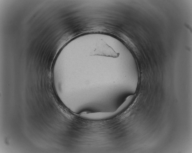 X0000097751234200804041056