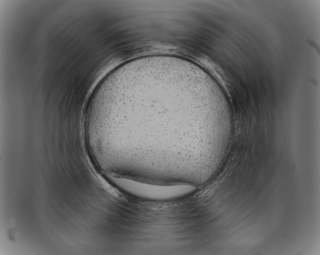 X0000097751235200804041056