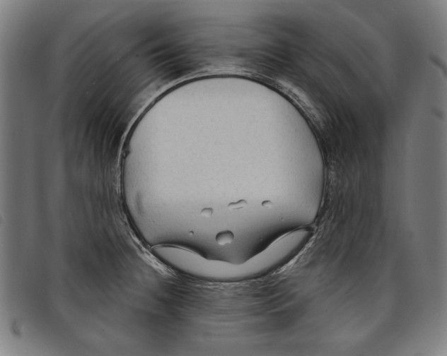 X0000097751236200804041056