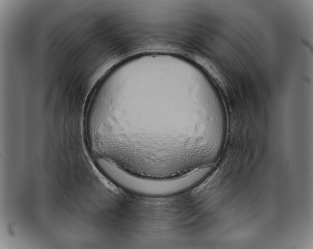 X0000097751237200804041056