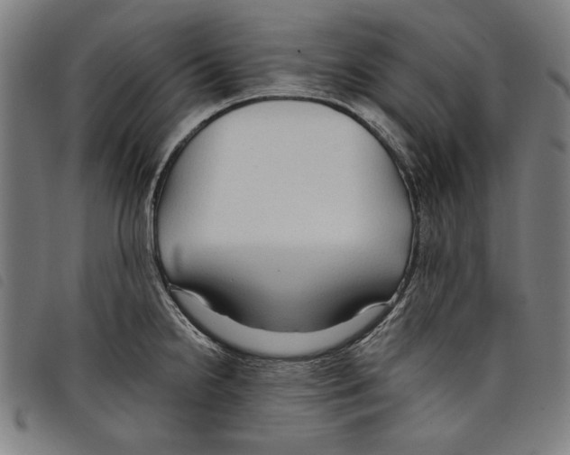 X0000097751238200804041056