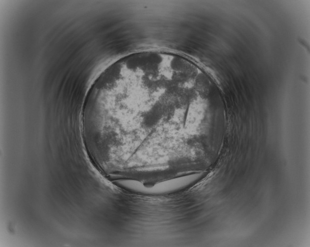 X0000097751239200804041056