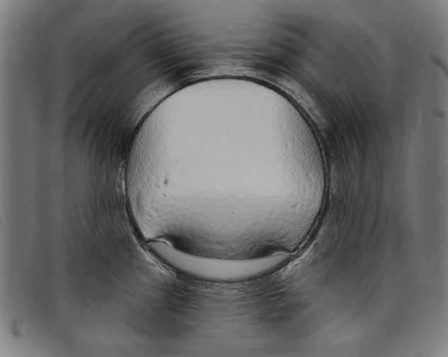 X0000097751241200804041056